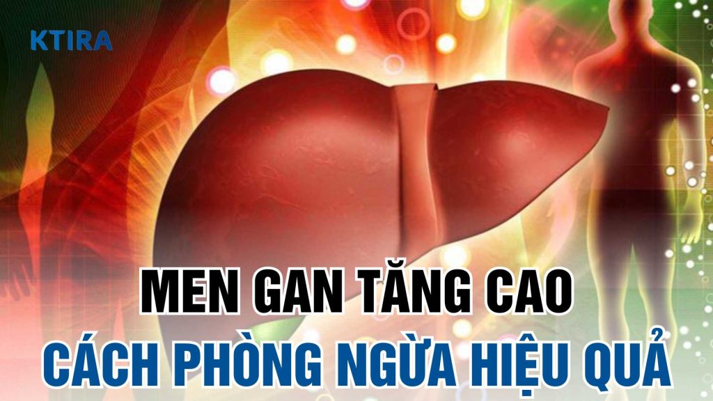 Nguyên nhân men gan tăng cao