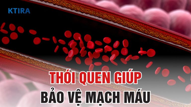 5 Thói Quen Giúp Bảo Vệ Mạch Máu Và Nâng Cao Sức Khỏe Mỗi Ngày!
