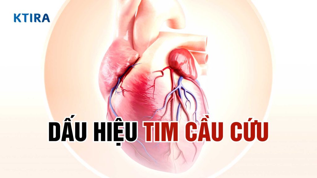 Dấu hiệu tim cầu cứu