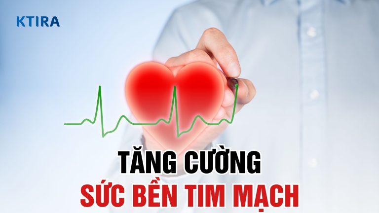 3 Cách Tăng Cường Sức Bền Tim Mạch Hiệu Quả Để Có Sức Khỏe Tối Ưu