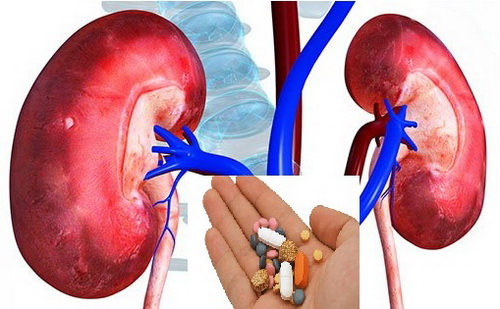Suy Thận Do Thuốc Là Gì?