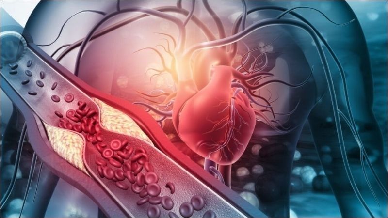 Dấu hiệu tim cầu cứu