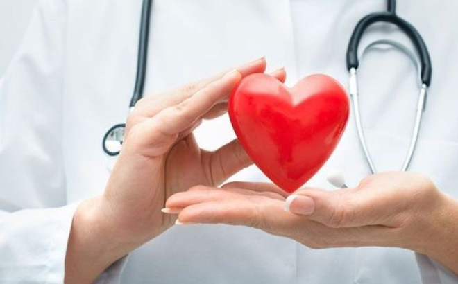 Cây bầu đất và 6 công dụng tốt cho sức khỏe