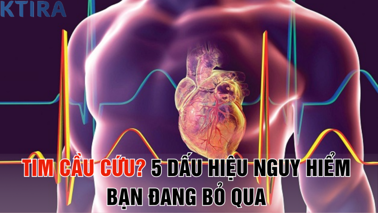 Tim Cầu Cứu? 5 Dấu Hiệu Nguy Hiểm Bạn Đang Bỏ Qua Có Thể Dẫn Đến Đột Quỵ!