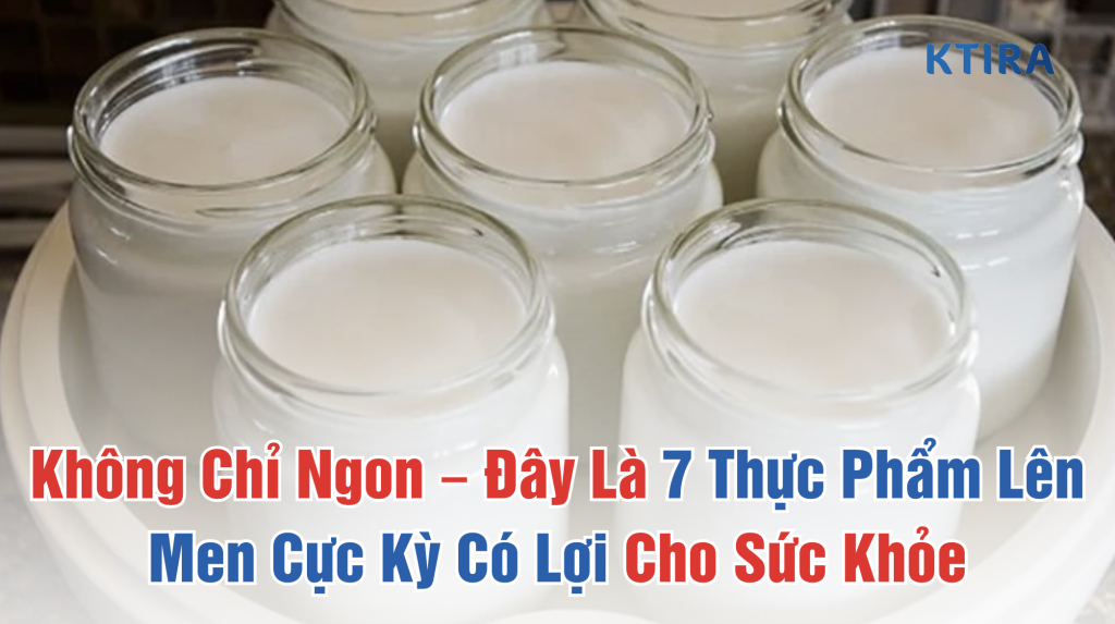 Thực Phẩm Lên Men Cực Kỳ Có Lợi KTIRA