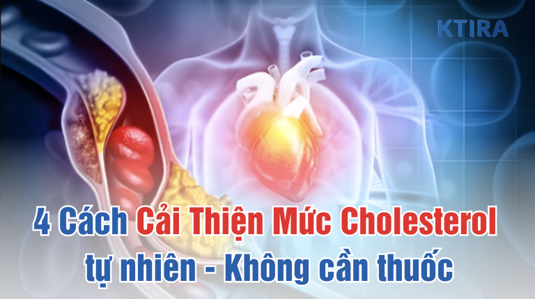4 Cách Cải Thiện Mức Cholesterol tự nhiên – Không cần thuốc, chỉ cần làm đều những việc này
