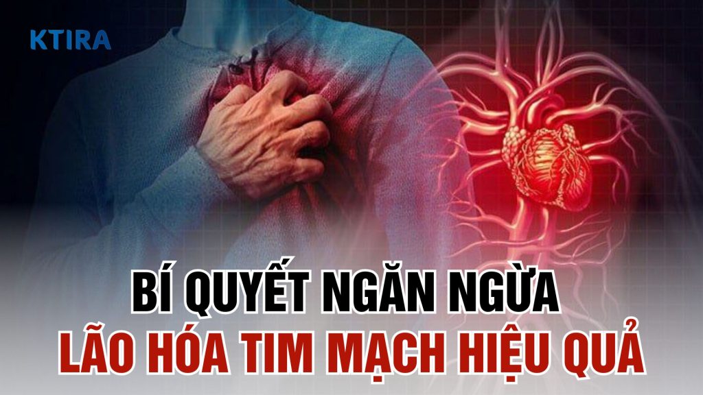 Phòng ngừa lão hóa tim mạch