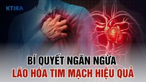 Phòng ngừa lão hóa tim mạch