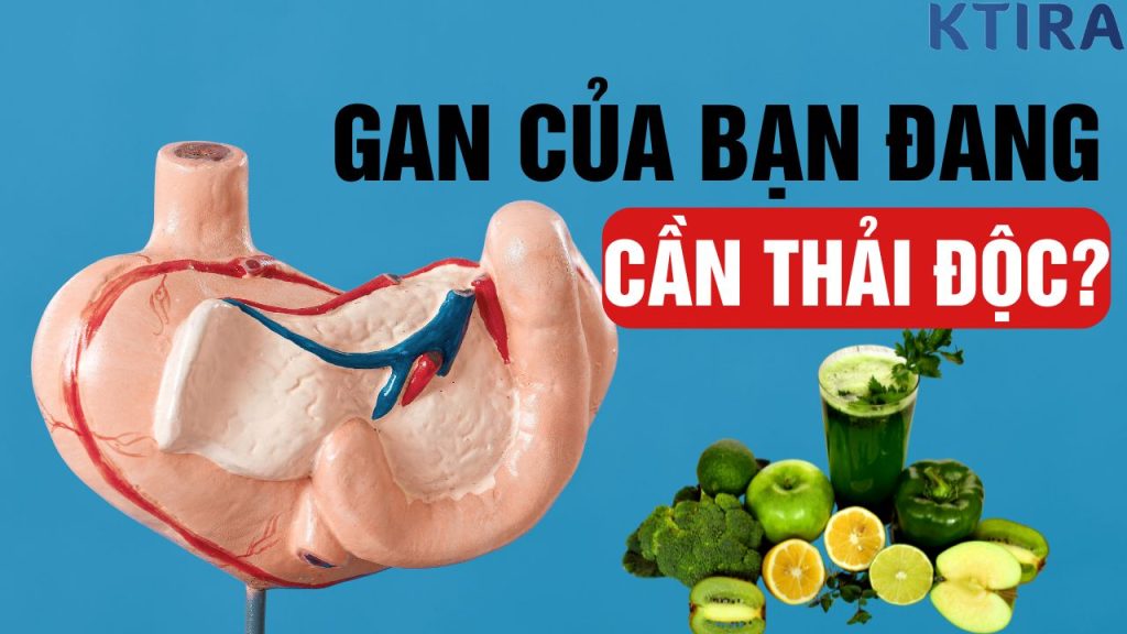 Làm sao biết gan cần thải độc?