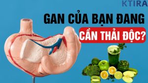 Làm sao biết gan cần thải độc?