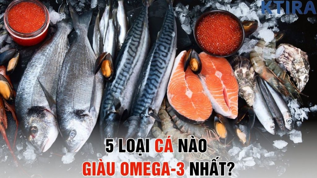 Cá Nào Giàu Omega-3 Nhất? Bí Mật Sức Khỏe Từ Đại Dương Đợi Bạn Khám Phá!