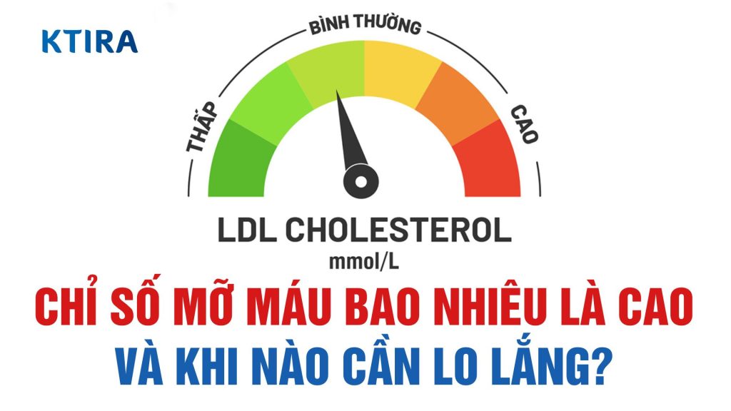 Chỉ Số Mỡ Máu Bao Nhiêu Là Cao? KTIRA