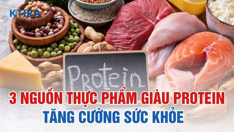 3 Nguồn Thực Phẩm Giàu Protein Tăng Cường Sức Khỏe