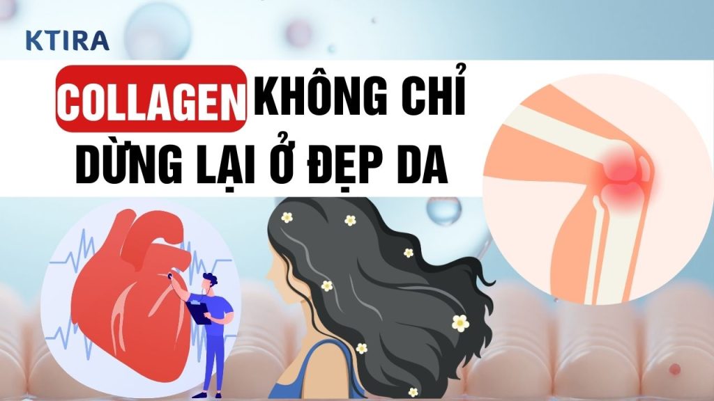 Collagen Cho Sức Khỏe Toàn Diện: 5 Lợi Ích Bất Ngờ Hơn Cả Đẹp Da!
