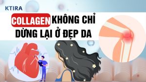 Collagen Cho Sức Khỏe Toàn Diện: 5 Lợi Ích Bất Ngờ Hơn Cả Đẹp Da!