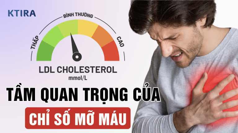 Chỉ Số Mỡ Máu – 5 điều cho thấy tầm quan trọng của chúng