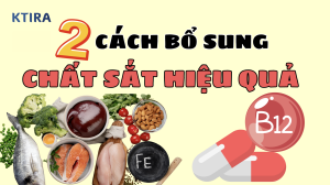 Cách Bổ Sung Sắt An Toàn Để Tránh Thiếu Máu Thiếu Sắt