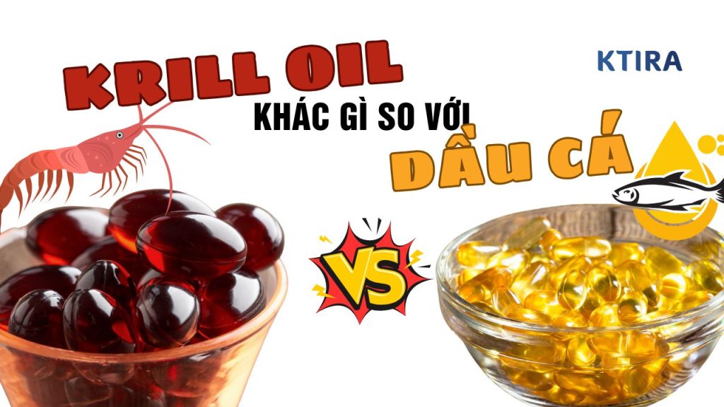Krill Oil Khác Gì Với Dầu Cá Thông Thường?