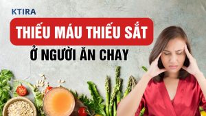 Thiếu Máu Thiếu Sắt Ở Người Ăn Chay