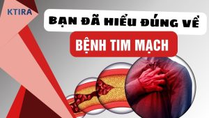 Bệnh tim mạch là gì?