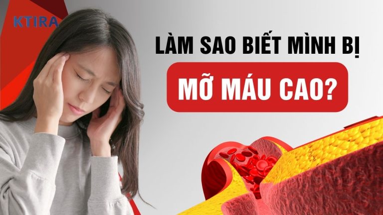 Làm Sao Biết Mình Bị Mỡ Máu? Đừng Bỏ Qua 5 Dấu Hiệu Này!