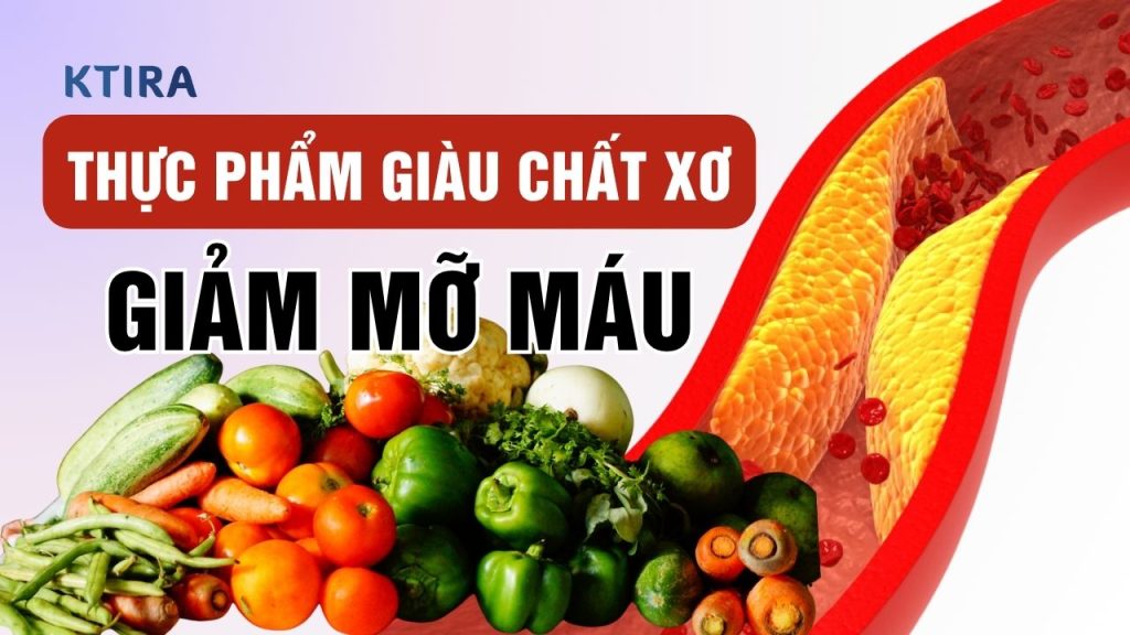 Thực Phẩm Giàu Chất Xơ Giảm Mỡ Máu KTIRA