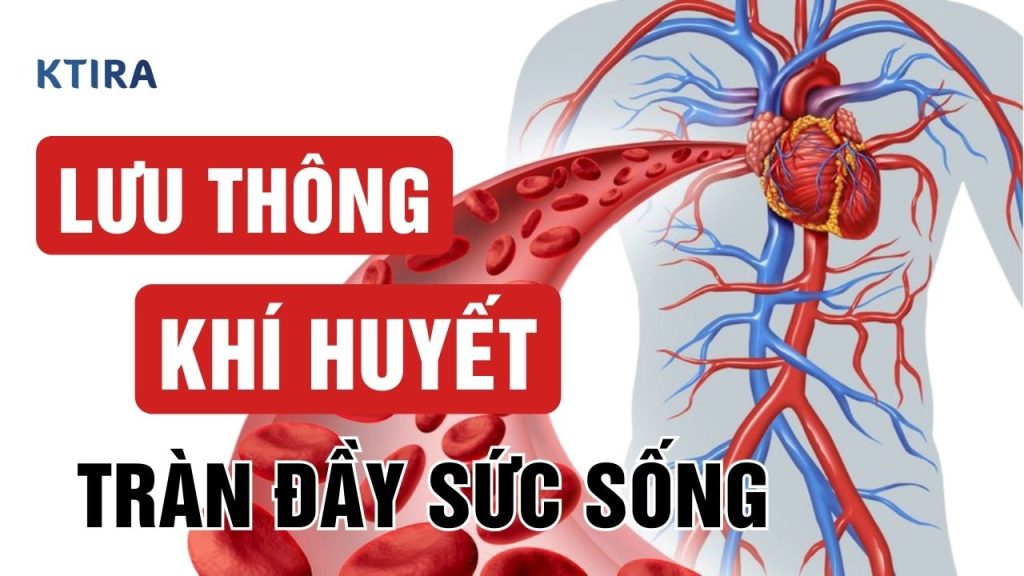 Cách Lưu Thông Khí Huyết KTIRA