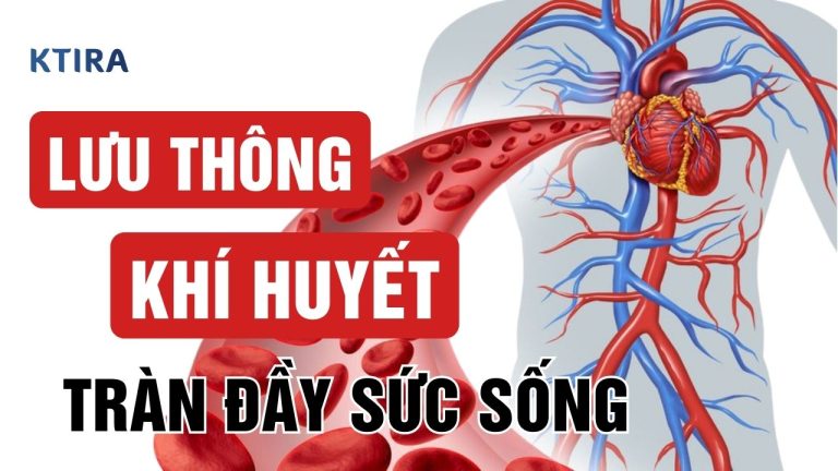 4 Cách Lưu Thông Khí Huyết Giúp Cơ Thể Khỏe Mạnh, Tràn Đầy Sức Sống