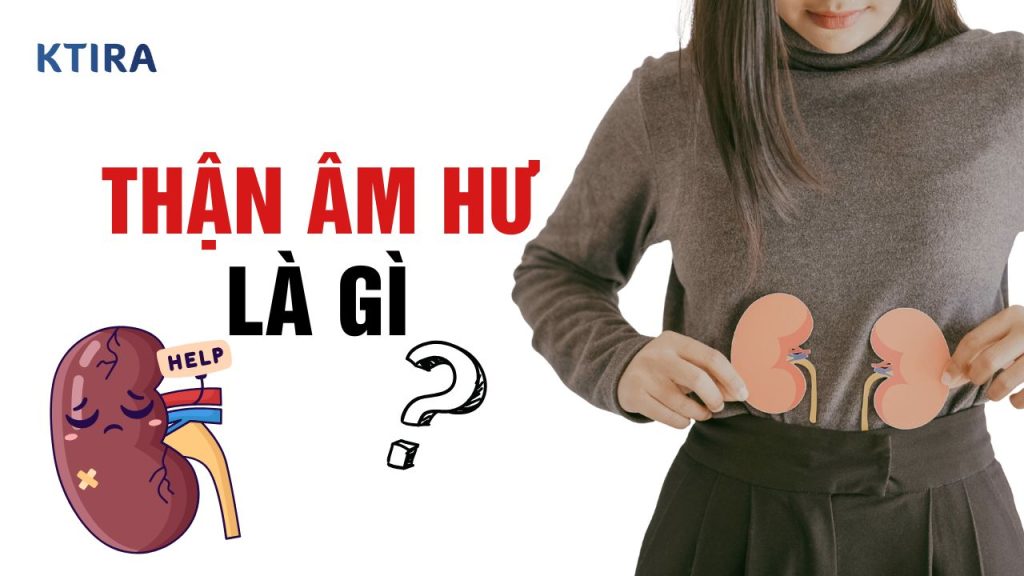 Thận Âm Hư Là Gì?