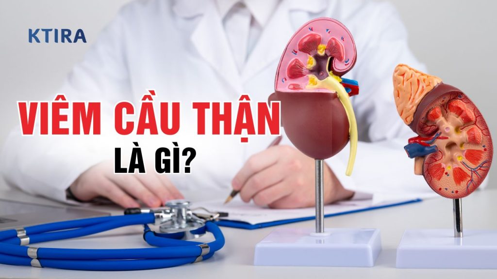 Viêm Cầu Thận Là Gì