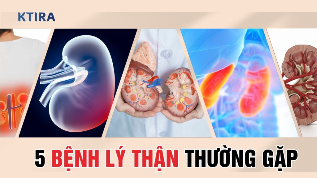 Bệnh Lý Thận Thường Gặp