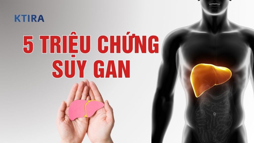Suy Gan Có Biểu Hiện Gì