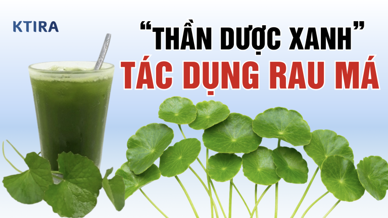 Tác Dụng Tuyệt Vời Của Rau Má: “Thần Dược Xanh” Cho Sức Khỏe Và Sắc Đẹp