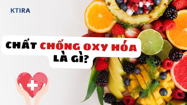 Chất Chống Oxy Hóa Là Gì? 5 Lợi Ích & 7 Nguồn Thực Phẩm