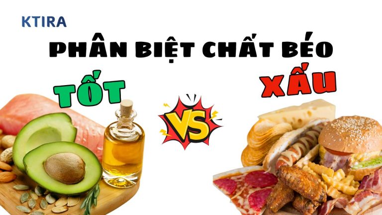 Chất Béo Tốt Và Chất Béo Xấu: 4 Cách Phân Biệt Và Lựa Chọn!
