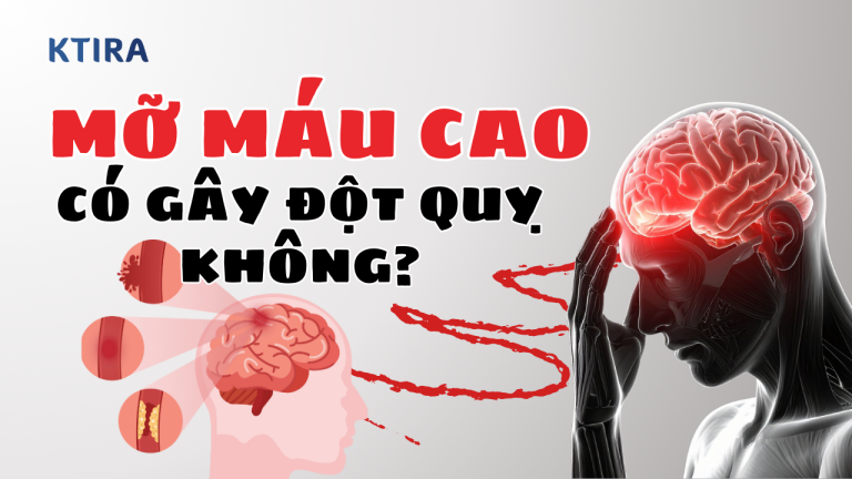 Mỡ máu cao có gây đột quỵ không? Dấu hiệu sớm và cách phòng ngừa hiệu quả