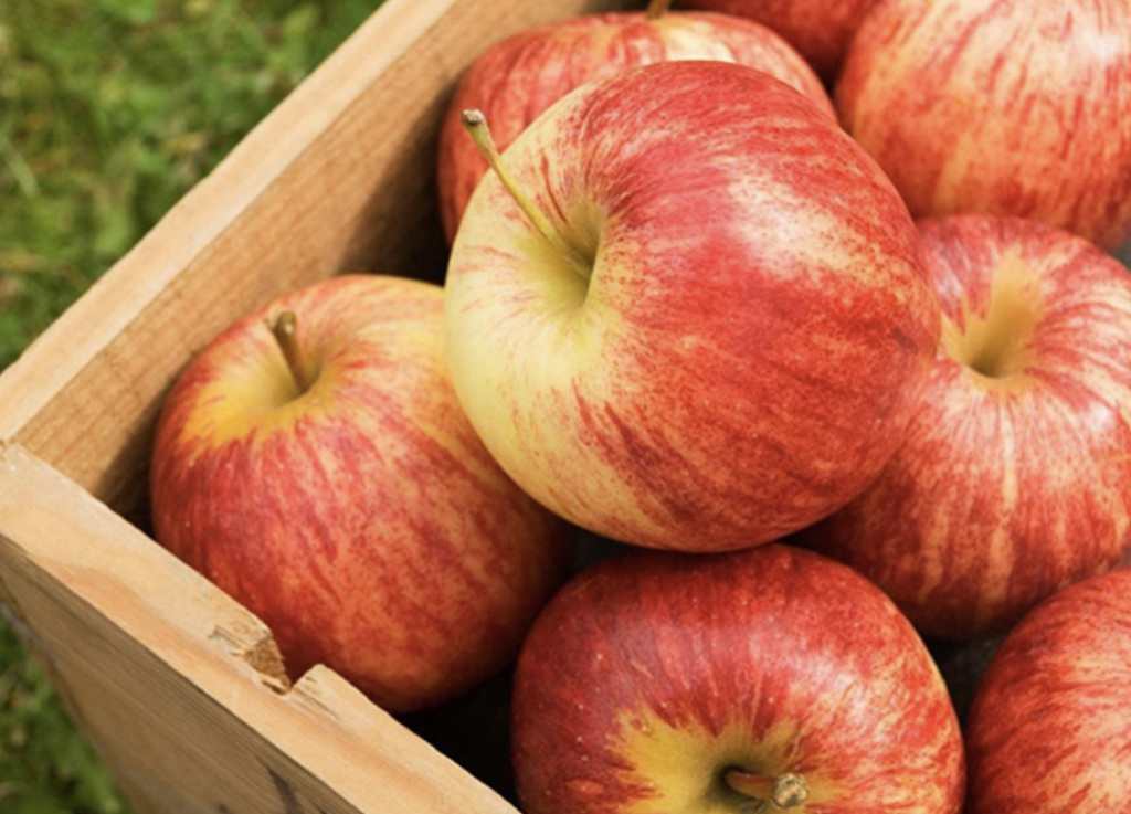 các loại trái cây giúp giảm mỡ máu - Táo KTIRA