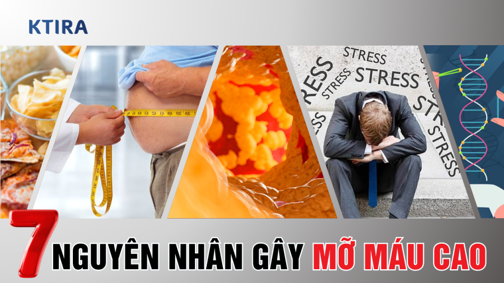 Nguyên nhân gây mỡ máu cao KTIRA