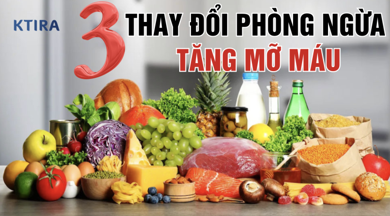 Phòng Ngừa Tăng Mỡ Máu Bằng 3 Thay Đổi Đơn Giản Này