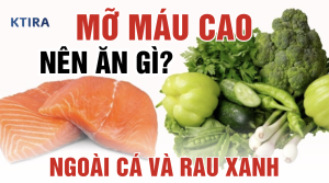 Mỡ Máu Cao Nên Ăn Gì Ngoài Cá Và Rau Xanh KTIRA