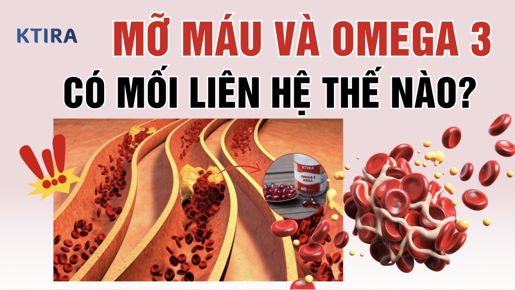 Mối liên hệ giữa mỡ máu và omega-3 KTIRA