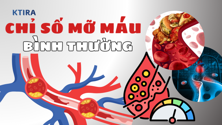 Chỉ số mỡ máu bình thường và ngưỡng cảnh báo bạn không nên bỏ qua