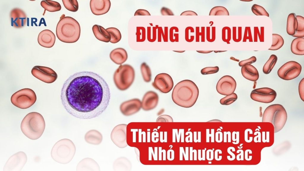 Thiếu Máu Hồng Cầu Nhỏ Nhược Sắc KTIRA