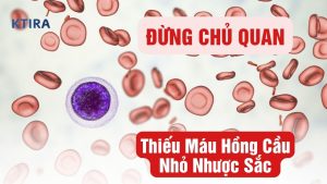 Thiếu Máu Hồng Cầu Nhỏ Nhược Sắc KTIRA