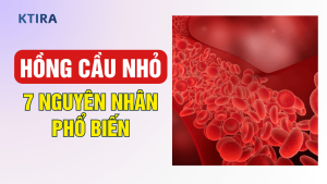 Hồng Cầu Nhỏ KTIRA