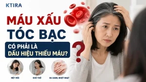 Máu xấu tóc bạc KTIRA